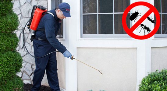 Çorum Kene İlaçlama böcek ilaçlama ve haşere kontrolü — ilaclama-tr.com